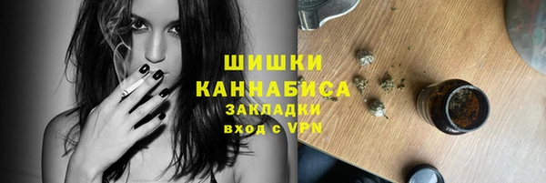 спиды Богородск