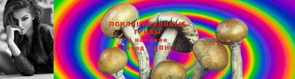 спиды Бронницы