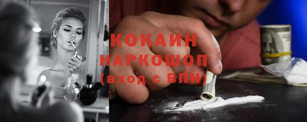мяу мяу мука Бородино