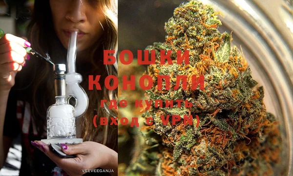 спиды Богородск
