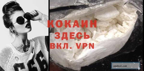 мяу мяу мука Бородино
