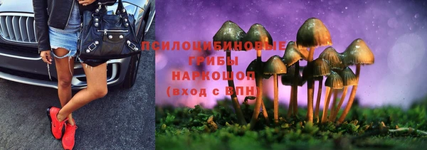 мяу мяу мука Бородино