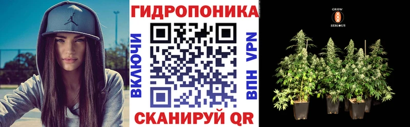 Каннабис сатива  блэк спрут онион  Шумиха 